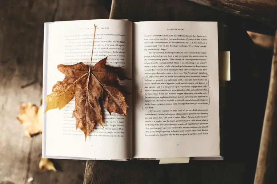 Libri da leggere in autunno: 5 romanzi imperdibili