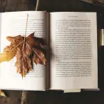 Libri da leggere in autunno: 5 romanzi imperdibili