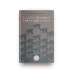 Quello che sabbia e neve non dicono: il nuovo romanzo di Nicolò Frasson