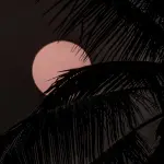 Notte d'estate di Federico Garcia Lorca: la poesia che celebra atmosfera e tradizione