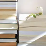 Migliaia di libri congelati nei frigoriferi: la strategia per salvarli dal fango dopo l'alluvione