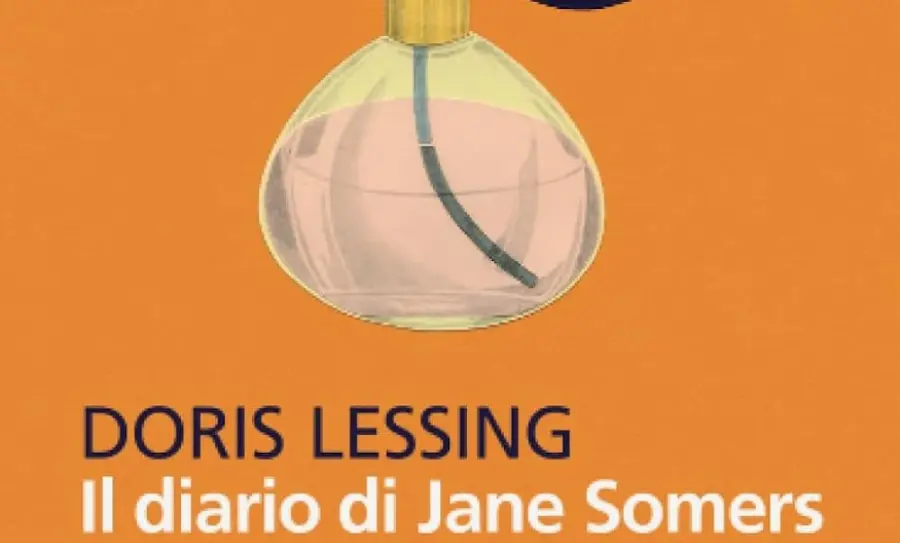 Il diario di Jane Somers: recensione del libro del premio Nobel Doris Lessing