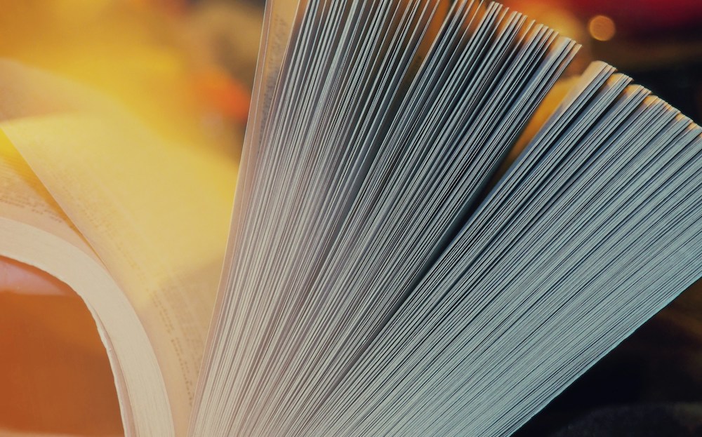 Salone del Libro di Torino 2024, al via la nuova edizione: novità e temi centrali del programma