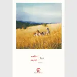 Kala, di Colin Walsh: perché è un thriller da leggere assolutamente