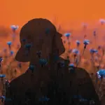 Fasterjohn - Chiamato al dovere: Storia di Giovanni, un eroe dal cuore blu