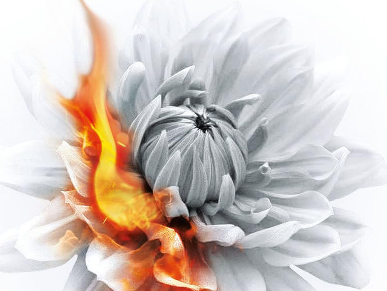 Il Nuovo Libro di Donato Carrisi: L’educazione delle farfalle - Recensione